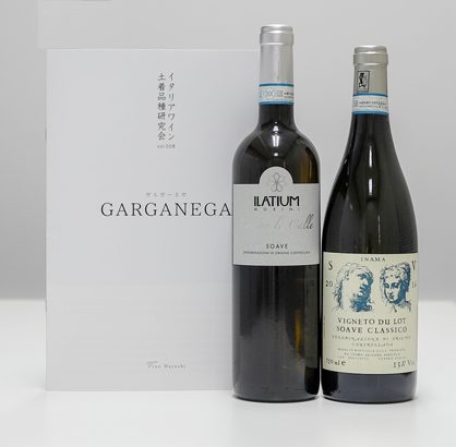 IMG_8163-garganega_ureru-top_pc